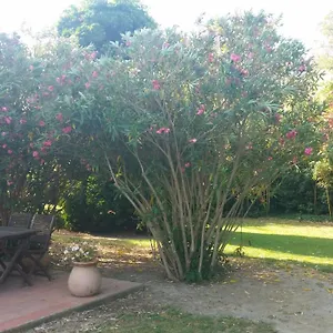  Bed & Breakfast Le Mas D'icard